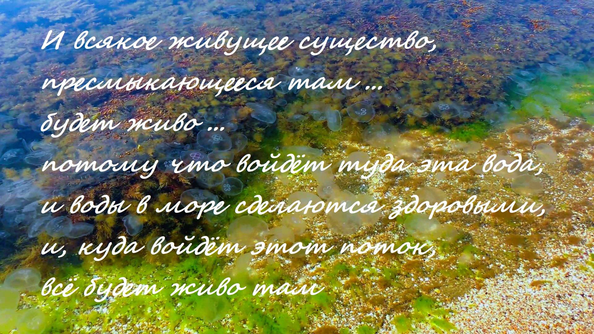 И всякое живущее существо, пресмыкающееся там... будет живо... потому что войдёт туда эта вода...