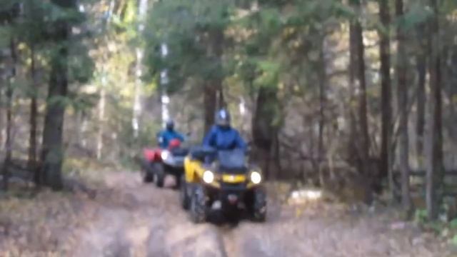 КВАДР24 Покатушки на квадроциклах по лесным тропам www.kvadr24.ru смотреть онлайн
