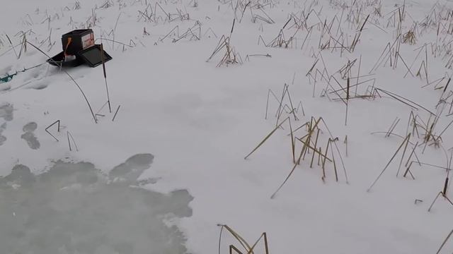 ЗИМНЯЯ РЫБАЛКА|Ловля ЩУКИ на жерлицы|ПОСТАВИЛ И УСТАЛ БЕГАТЬ|УДАЧНАЯ РЫБАЛКА. смотреть онлайн