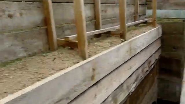 Строим гараж из опилкобетона (часть 4). Перенес опалубку ещё на уровень выше смотреть онлайн