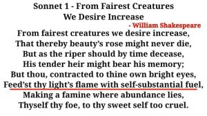 Sonnet 1 - From Fairest Creatures We Desire Increase By William Shakespeare - Summary In Hindi