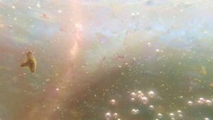 Карусель для разведения обитателей морского аквариума