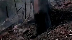 ТЯЖЁЛЫМ БАСОМ ГУДИТ ФУГАС -- Влад НЕЖНЫЙ