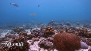 Alice Deejay - Better Off Alone (Tommer Mizrahi 2017 Remix)