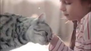 Реклама Whiskas: Волшебная сказка про кошек от Вискас