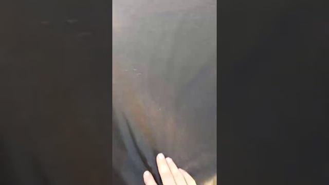 стол для рассады своими руками