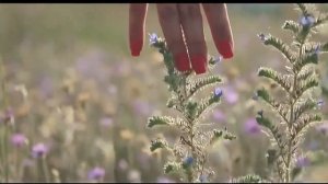 Она мне нравится, нравится  Band ODESSA