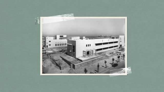 Tel Aviv: Israel's Cultural And Financial Capital | History Of Israel Explained | Unpacked