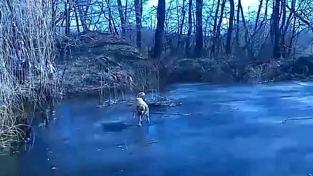 спасение хоккейной клюшки 2 часть смотреть онлайн