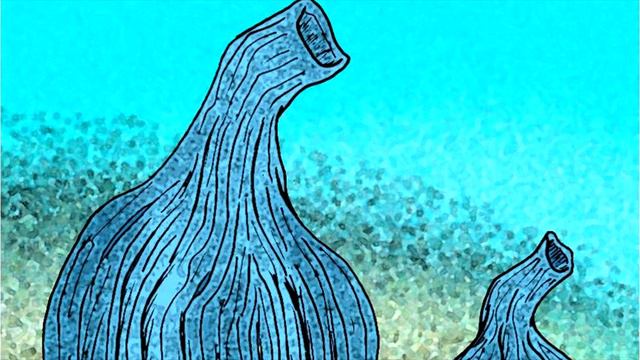 Развитие жизни на Земле (The Evolution of Life) - Инария (Inaria) смотреть онлайн