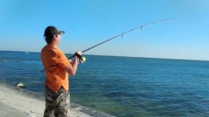 Ловим пелингас в Бердянске на Лисках