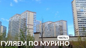 ПРОГУЛКА ПО МУРИНО ДЕВЯТКИНО САНКТ-ПЕТЕРБУРГ часть 1