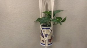 Macrame wall hanging plant hanger 4 pack review - Moody Blooms