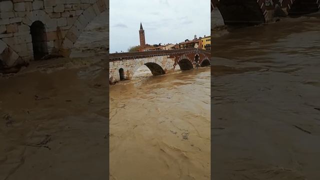 L'ADIGE A PONTE PIETRA(2)