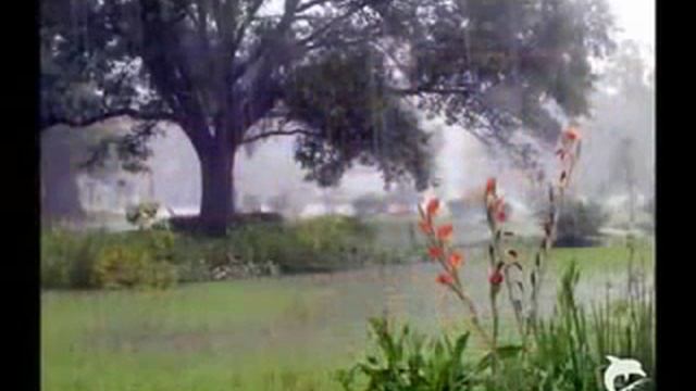 SOLEADO EDWARD SIMONI YouTube смотреть онлайн