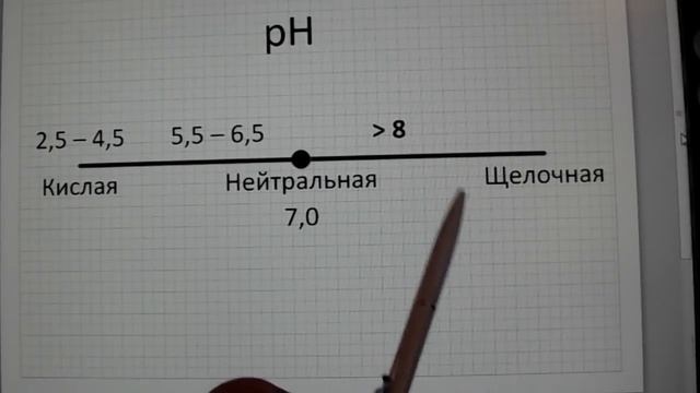 Совместимость растений в группе, часть 3. Курсы, занятие 21.