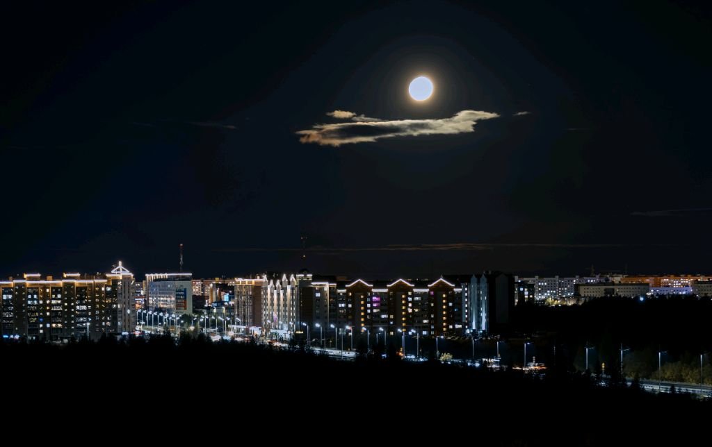 проба