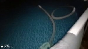Проточный водонагреватель для бассейна с обычного Тэна от посудомоечной машины !