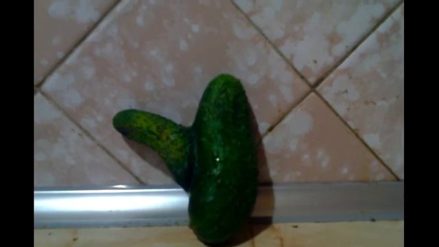 Чудо "Дары Природы"--Огурец. 2ч. смотреть онлайн