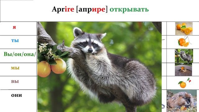 Как Запомнить Спряжение глагола на Итальянском языке №3 ? Как запомнить итальянские слова ?