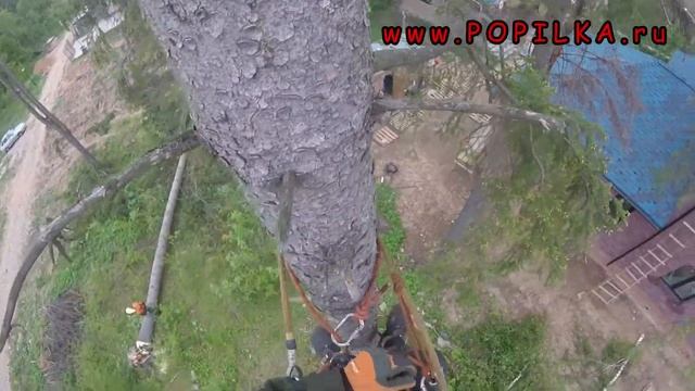 Расчистка участка под строительство  Коттеджный поселок Фонтенбло, Пушкинский район, Московская обл смотреть онлайн