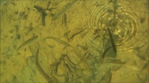 Релакс Калуга река Суходрев