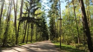 Бродяга залез в подвал доярки-вдовы, чтобы перекусить, но едва взявшись за банку солений, оцепенел