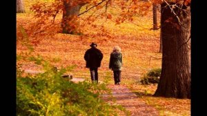 Я совсем не остыл от любви (Мотив одной из песен М.Круга) Исполняет автор стихов Николай Саллас