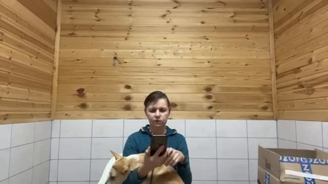 Спасение животных / Вечерний стрим в приюте Хвостатое счастье 02/12/2022