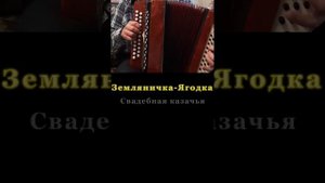 Земляничка-ягодка! Казачья свадебная песня на гармони