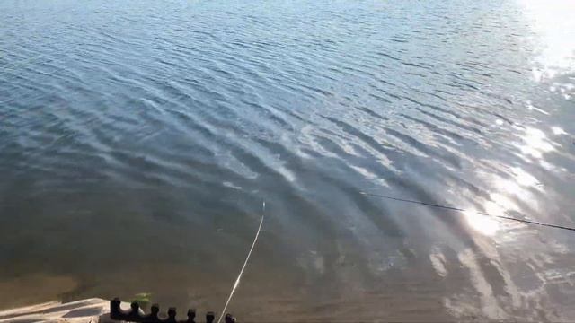 Рыбалка в городе (Миллениум) порадовал первым коротким выездом! смотреть онлайн