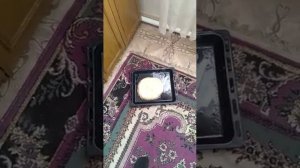 как приготовить кубите в первый раз