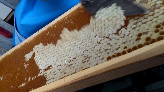 качка меда июль 2016 (печатка меда, карпатка, карника) смотреть онлайн