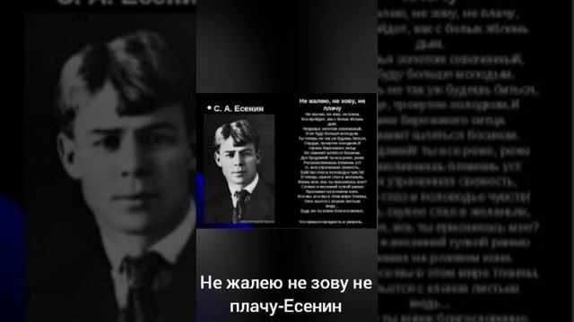 Есенин не жалею не зову. Не жалею не зову не плачу Есенин. Есенин не жалею не зову неплачу. Не жалею не зову не плачу Есенин стих. Стихи Есенина.