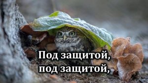 Буду жить под защитой Твоих крыл | Источник хвалы № 104 | Караоке плюс | Христианские песни