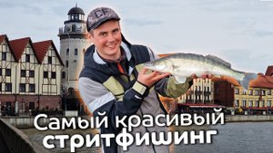 Где самая красивая РЫБАЛКА в городе? Судак и окунь весной на спиннинг
