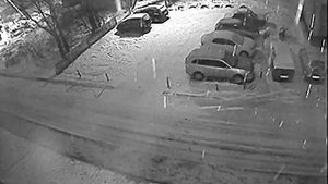 Случай в Лодейном Поле