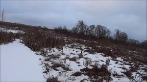 зимняя охота на бобра для новичков