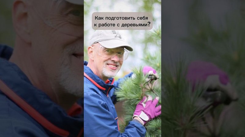 Как подготовить себя к работе с деревьями? #бонсай #bonsai #ниваки #сад #андрейдарусенков