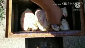 Копчёные куриные грудки и крылышки!!! Очень вкусное копчение!!!