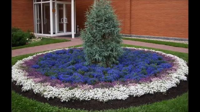 Цветочные клумбы вокруг дерева Фотоидеи смотреть онлайн