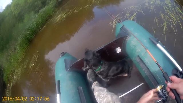Рыбалка на спиннинг, ультролайт, на лесной микро речке, Ловля чебака, (плотвы), щуки, на блесну смотреть онлайн