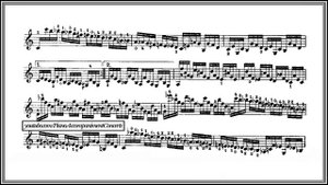 Niccolo Paganini - 24 Caprices Op.1 (Caprice no.5 in A minor)