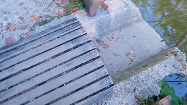 ВЛОГ Нашествие клопов, ужас! Семеновский водопад! Вольница 10 октября 2020 смотреть онлайн