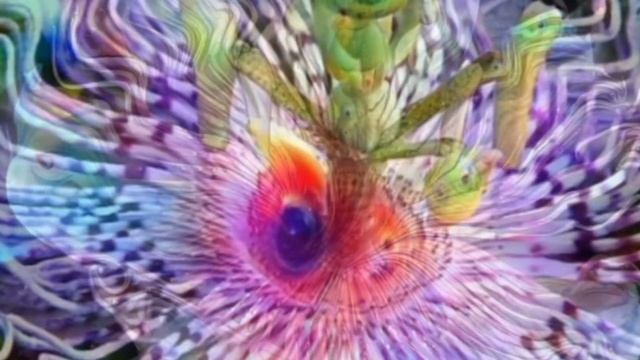 deep dream Salvador Dali. глубокий сон Сальвадора Дали #deepdream