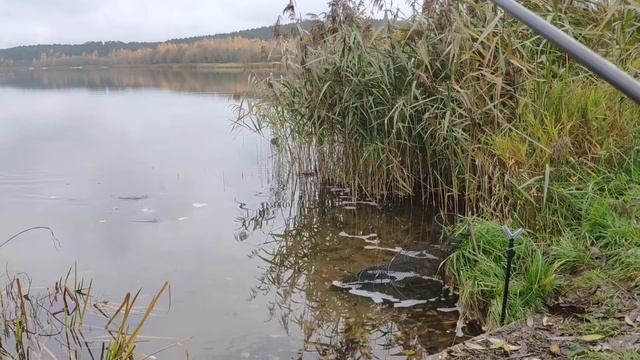 Осенний фидер перед закрытием жидкой воды смотреть онлайн