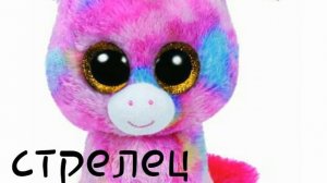 Твоя игрушка глазастик по знаку зодиака🐹