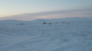 Едем к оленеводам