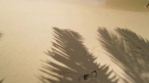 ЧЕМ ЗАНЯТЬСЯ на МАЭ, Сейшелы - сад специй, ресторан Marie Antoinette, деревня ремесленников