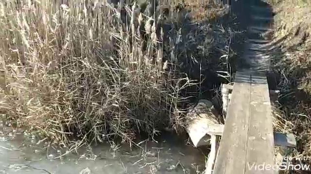 А у нас мороз, а снега нет.Все ещё не дома. смотреть онлайн